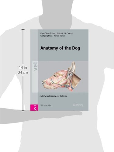 Anatomy of the Dog
