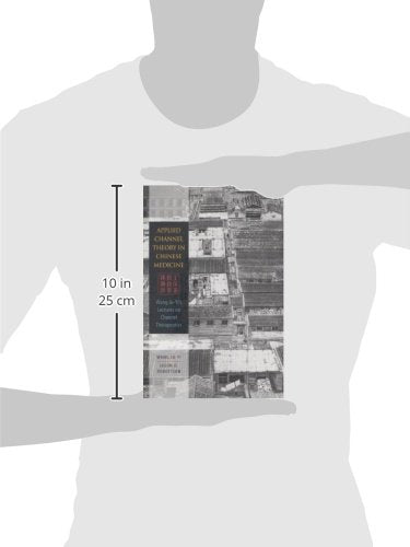 Applied Channel Theory in Chinese Medicine Wang Ju-Yi's Lectures on Channel Therapeutics