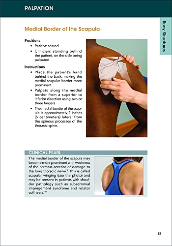 A Clinical Guide to Surface Palpation: The Art and Science of the Perfect Touch