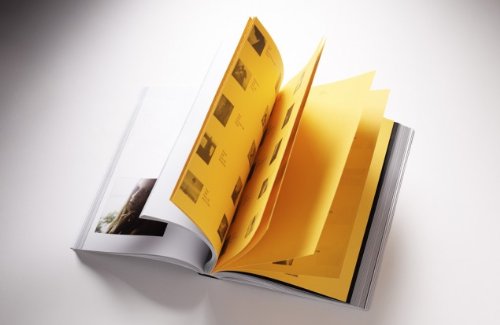 100 Girls on Polaroid