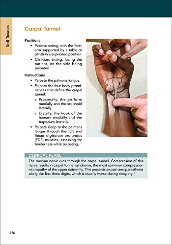 A Clinical Guide to Surface Palpation: The Art and Science of the Perfect Touch