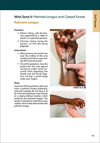 A Clinical Guide to Surface Palpation: The Art and Science of the Perfect Touch