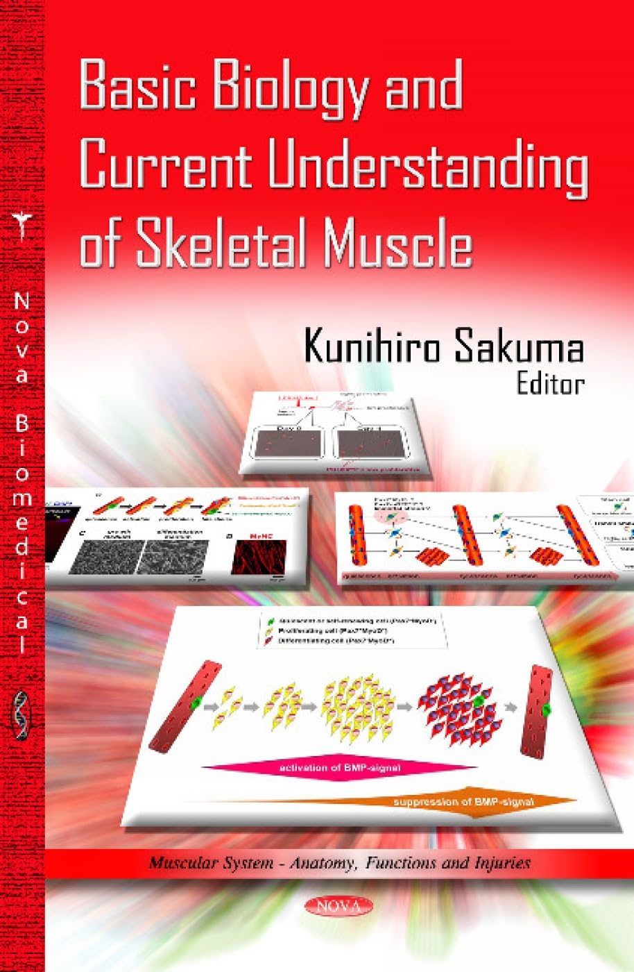 Basic Biology and Current Understanding of Skeletal Muscle (Muscular System-anatiomy, Functions and Injuries: Human Anatomy and Physiology)