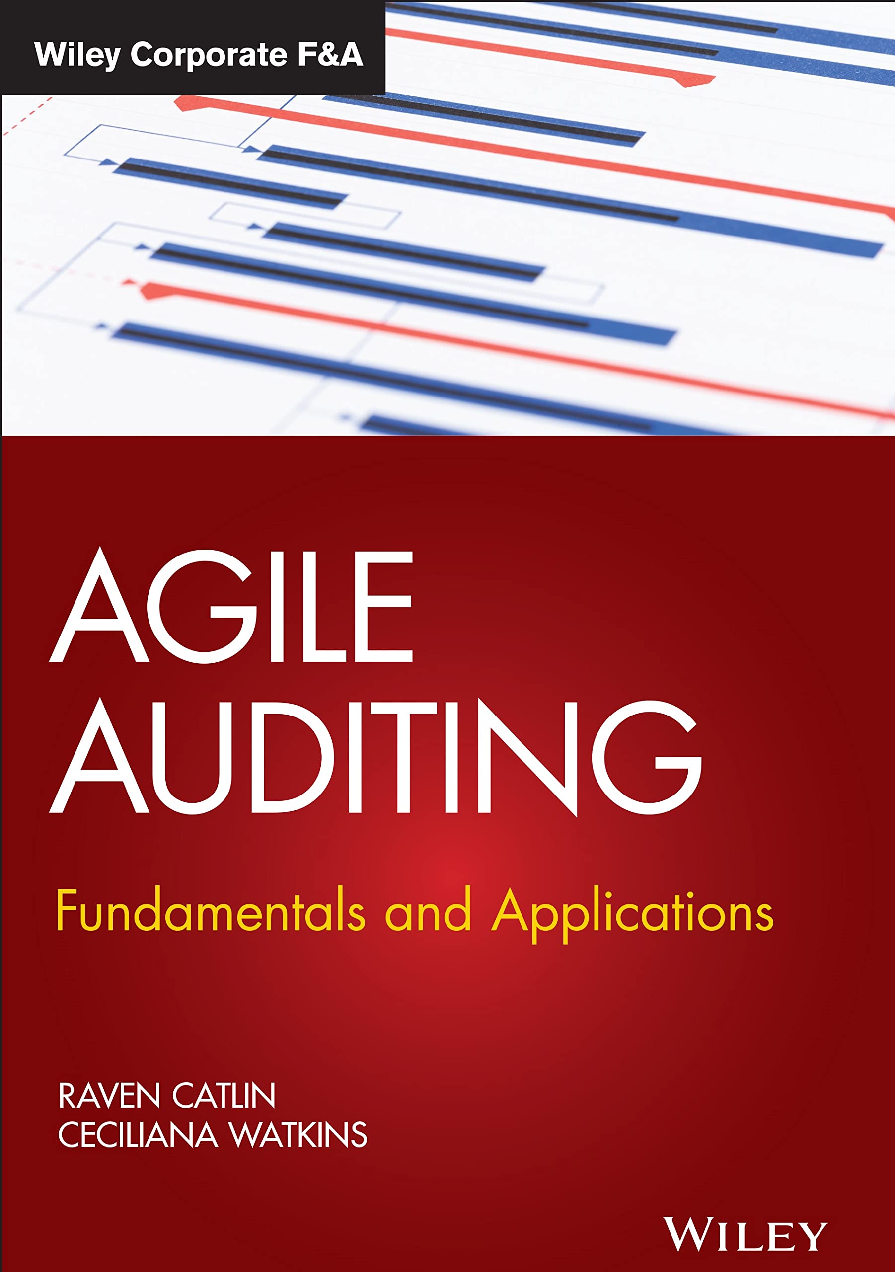 Agile Auditing: Fundamentals and Applications (Wiley Corporate F&A)