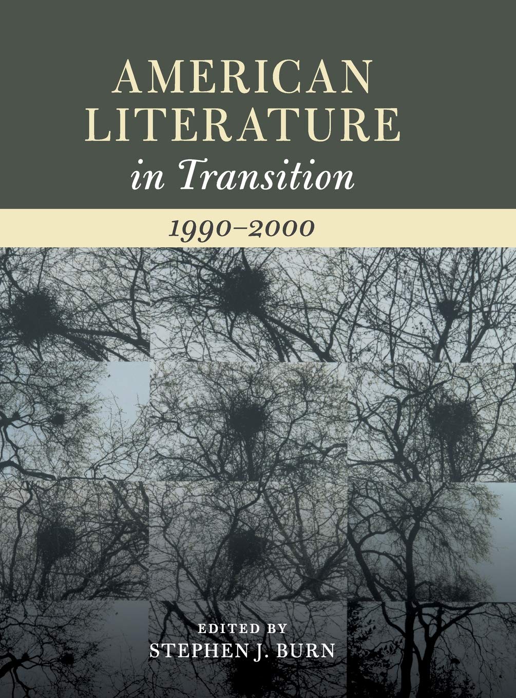 American Literature in Transition, 1990–2000