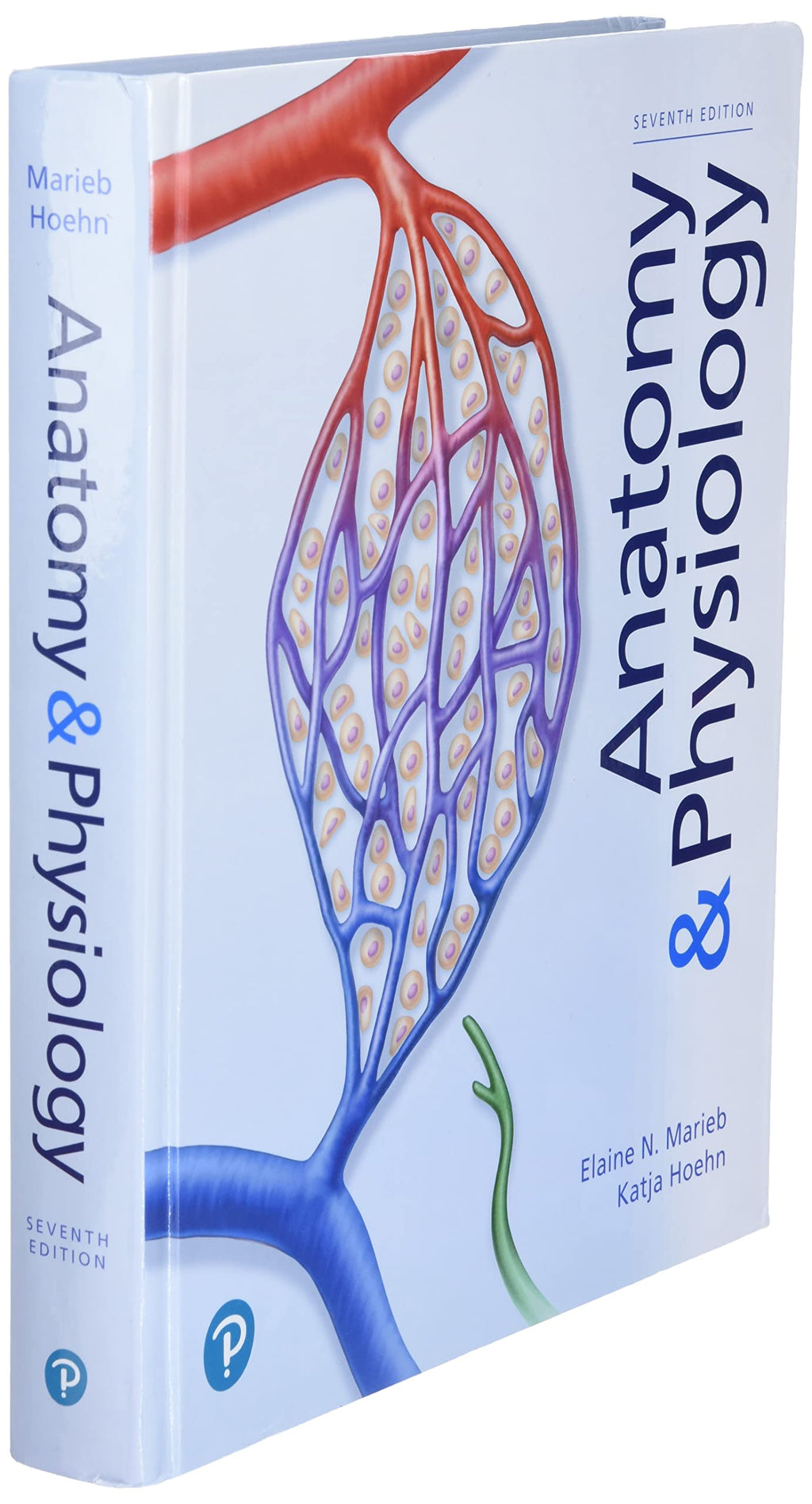 Anatomy & Physiology