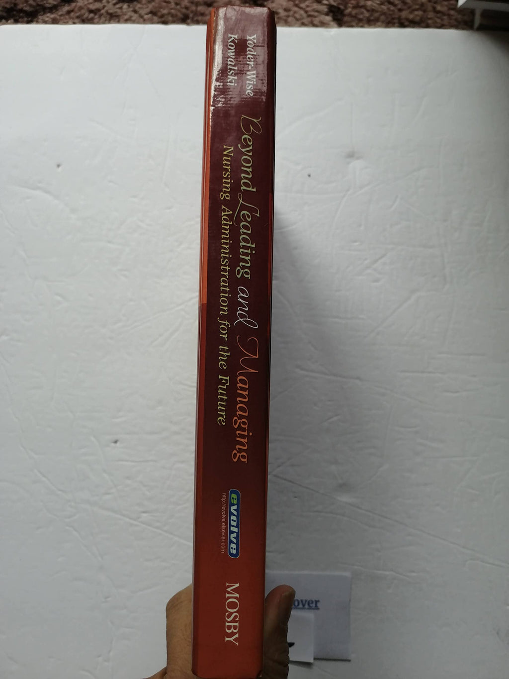 Beyond Leading and Managing: Nursing Administration for the Future