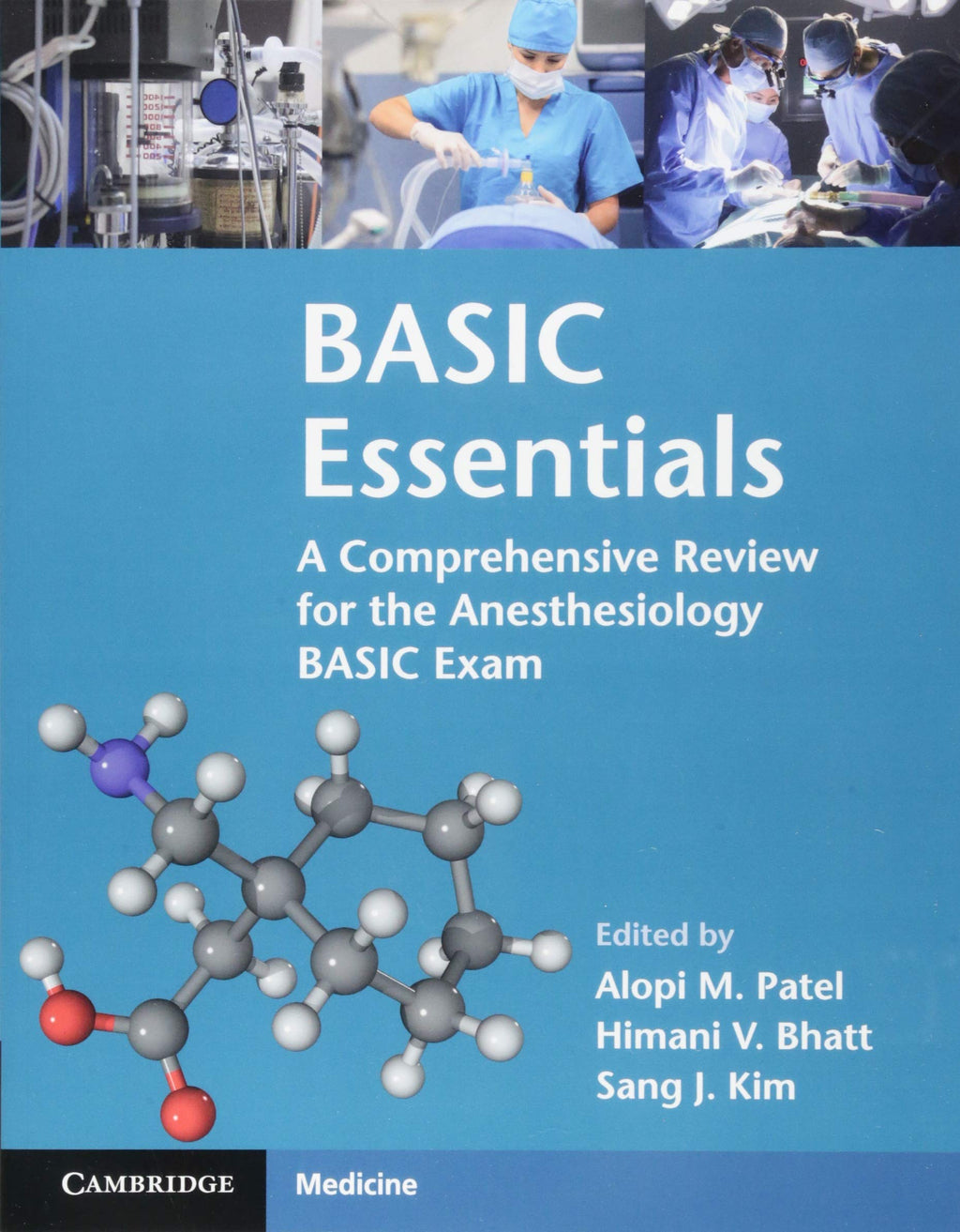BASIC Essentials: A Comprehensive Review for the Anesthesiology BASIC Exam