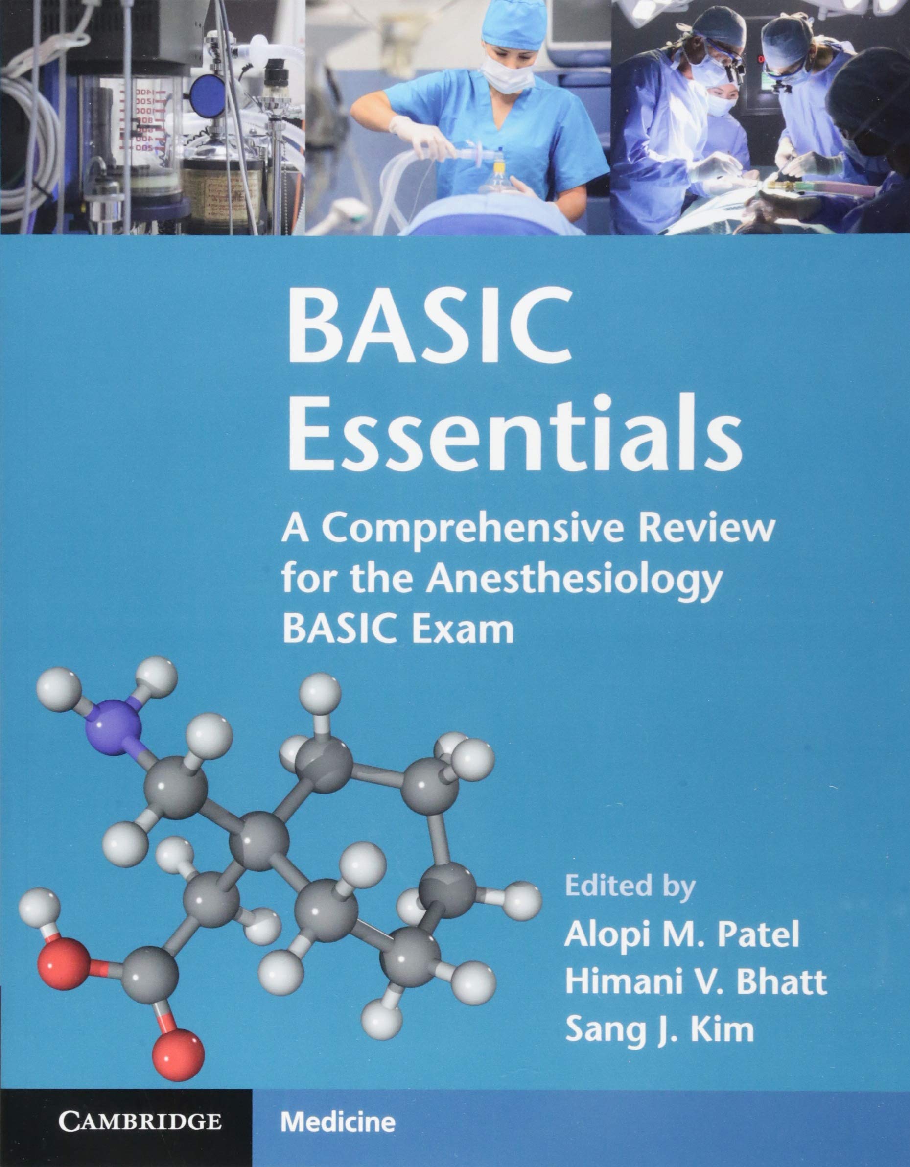BASIC Essentials: A Comprehensive Review for the Anesthesiology BASIC Exam