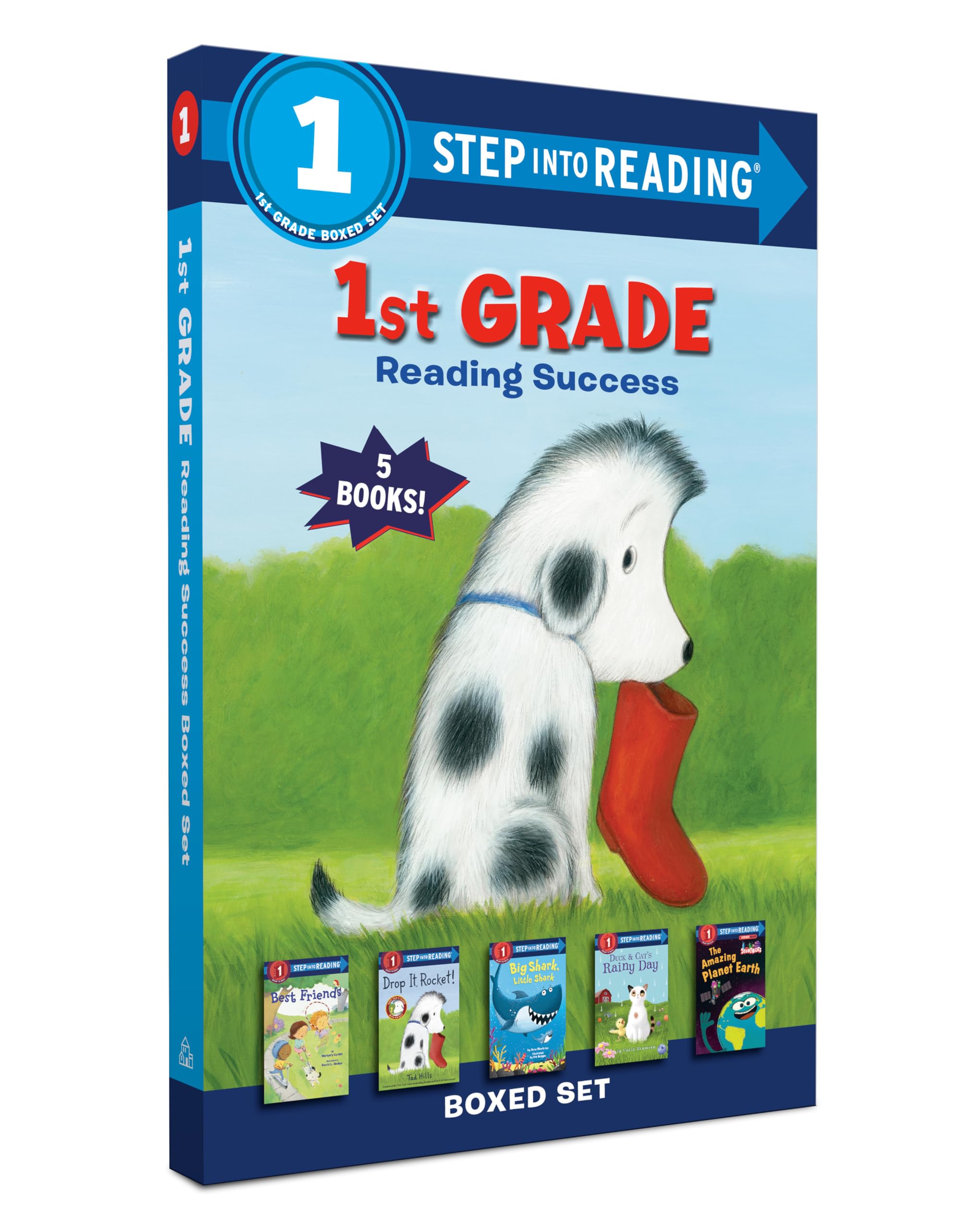 1st Grade Reading Success Boxed Set: Best Friends, Duck & Cat's Rainy Day, Big Shark, Little Shark, Drop It, Rocket! The Amazing Planet Earth (Step into Reading)