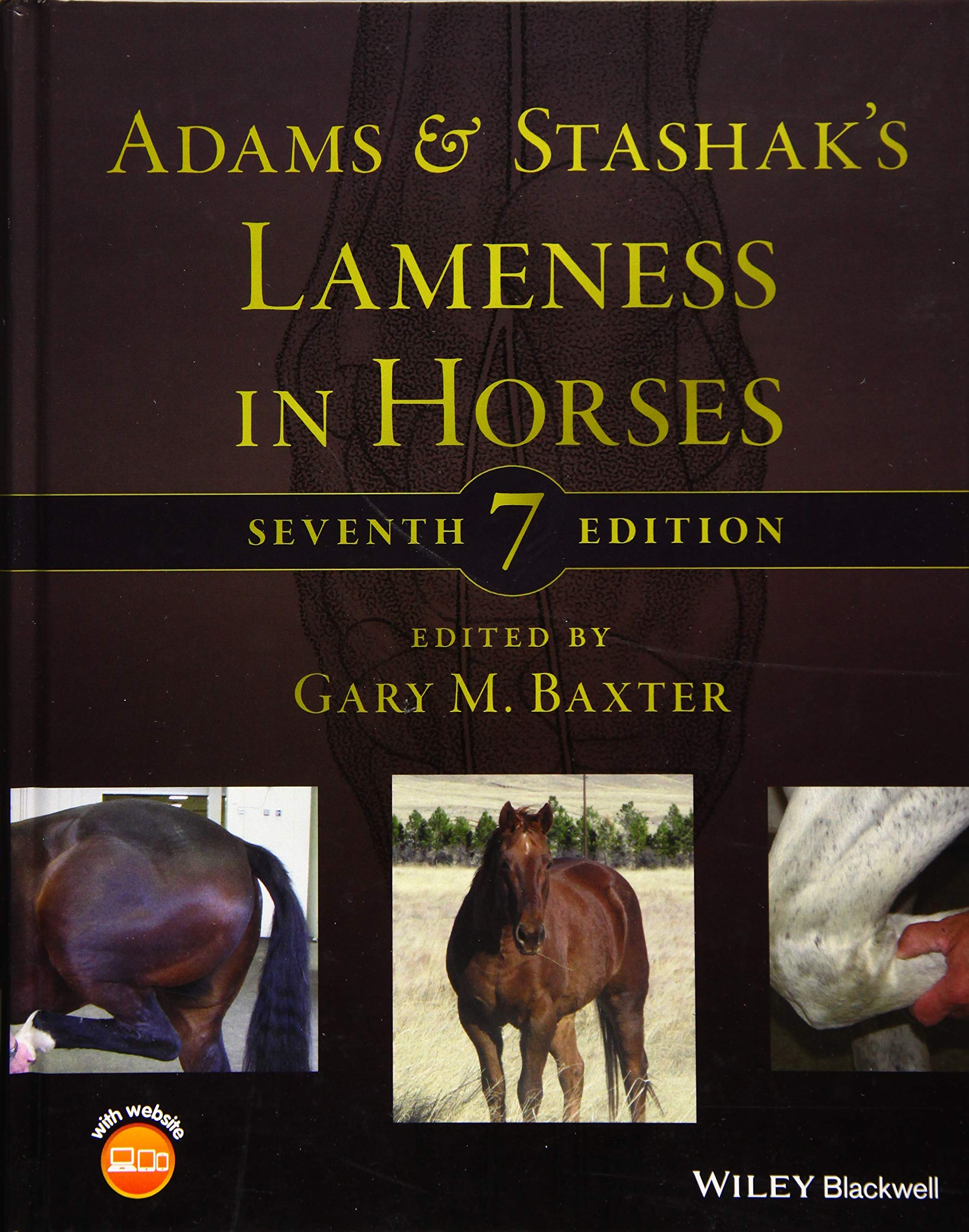 Adams and Stashak's Lameness in Horses