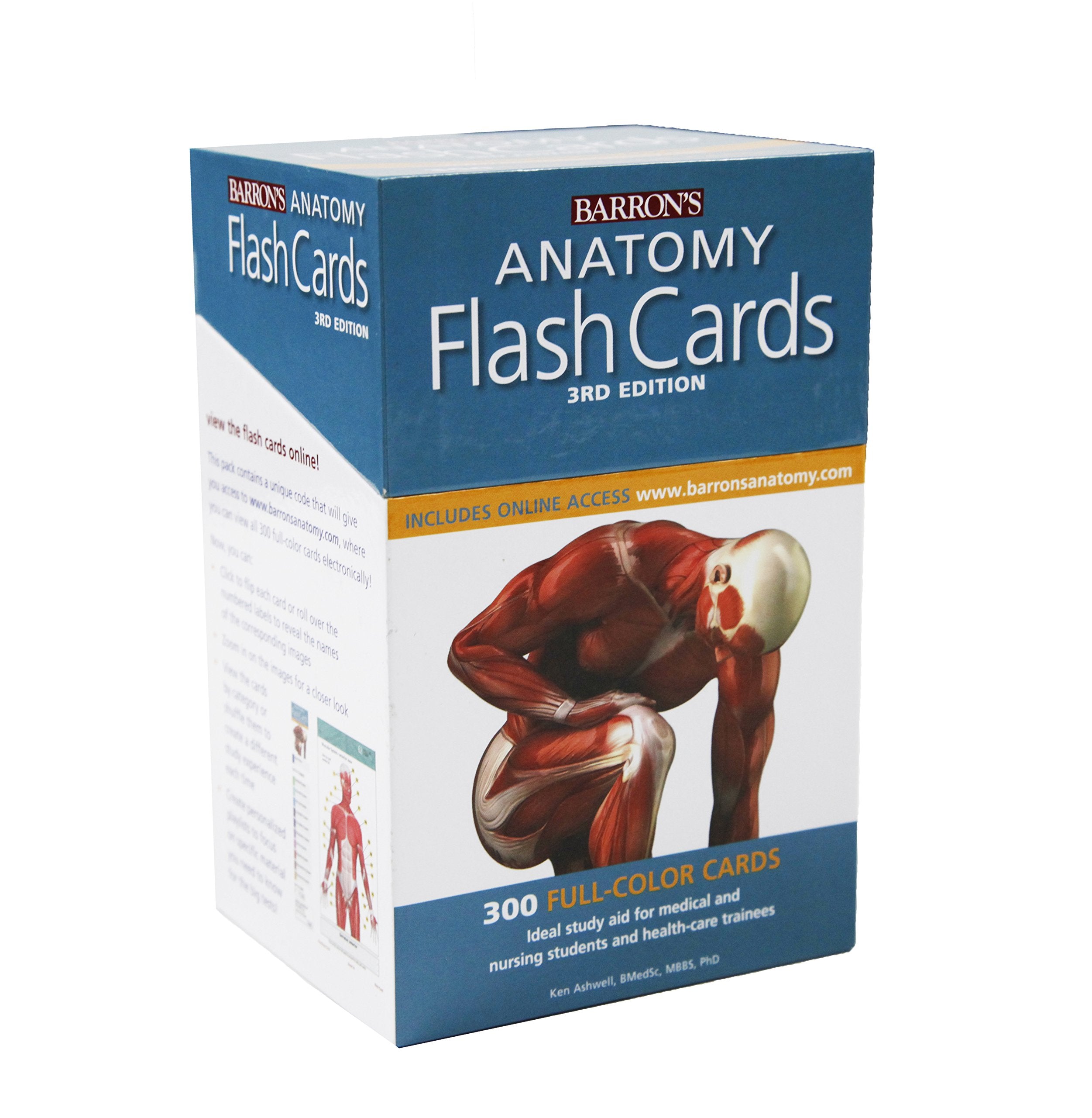 Anatomy Flash Cards (Barron's Test Prep)
