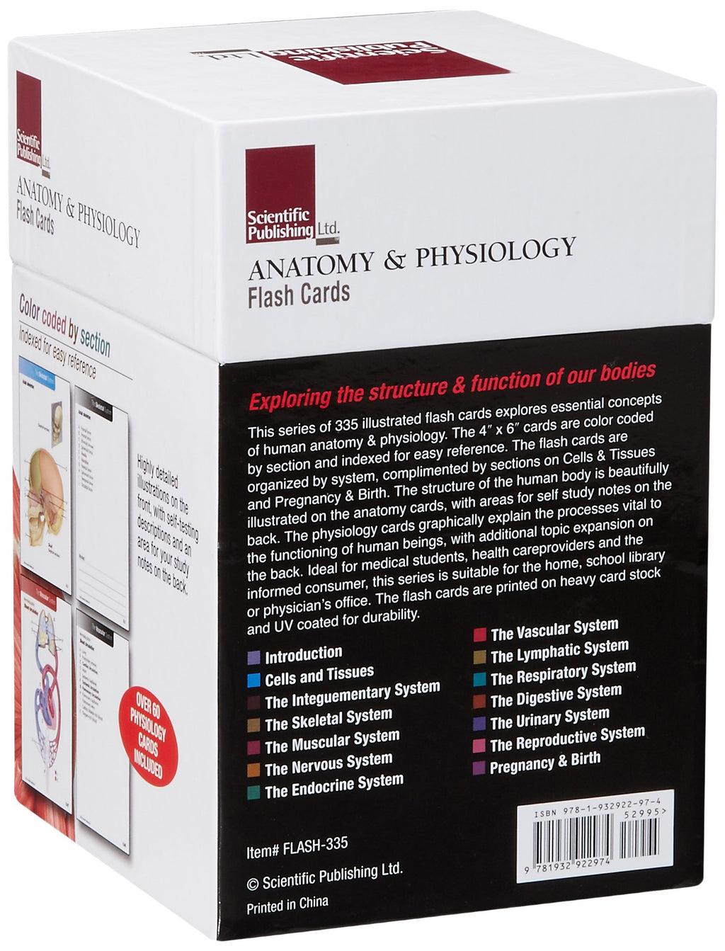 Anatomy & Physiology Flash Cards