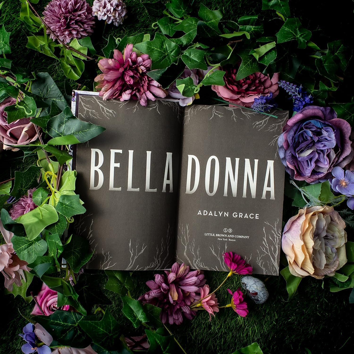 Belladonna