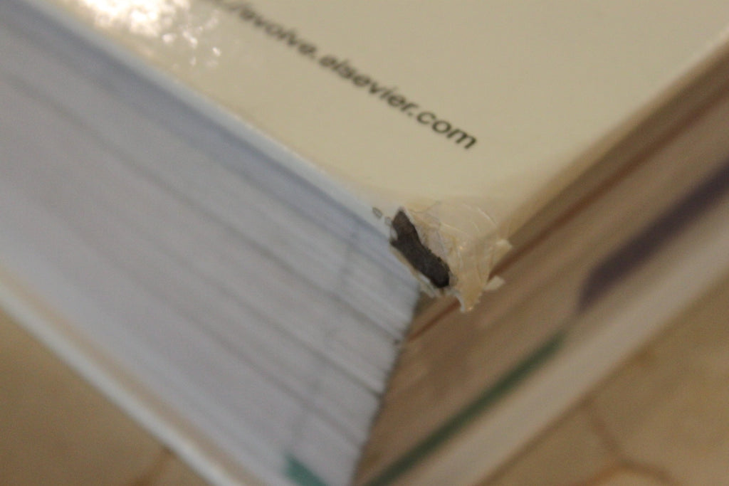 Anatomy & Physiology