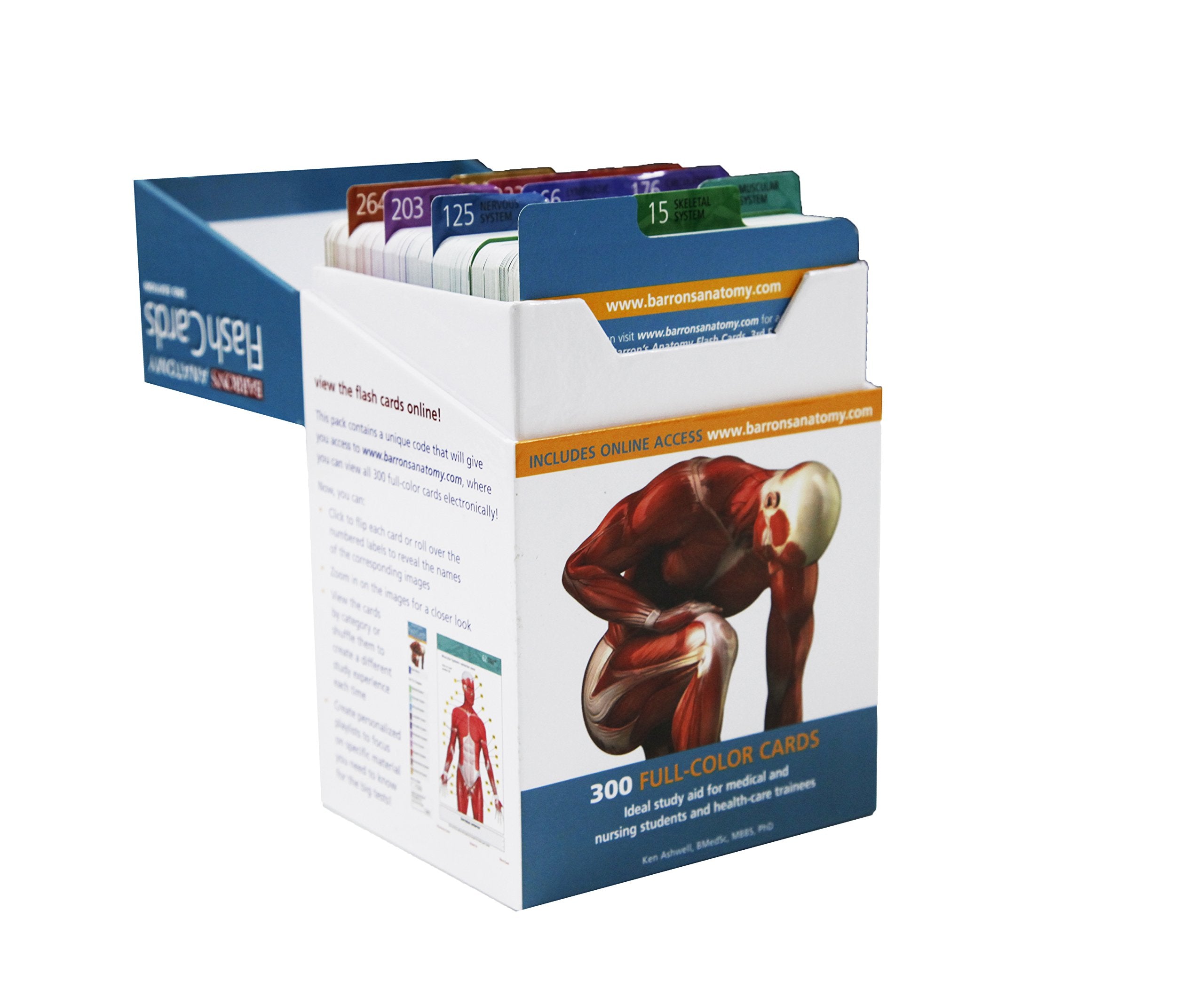 Anatomy Flash Cards (Barron's Test Prep)