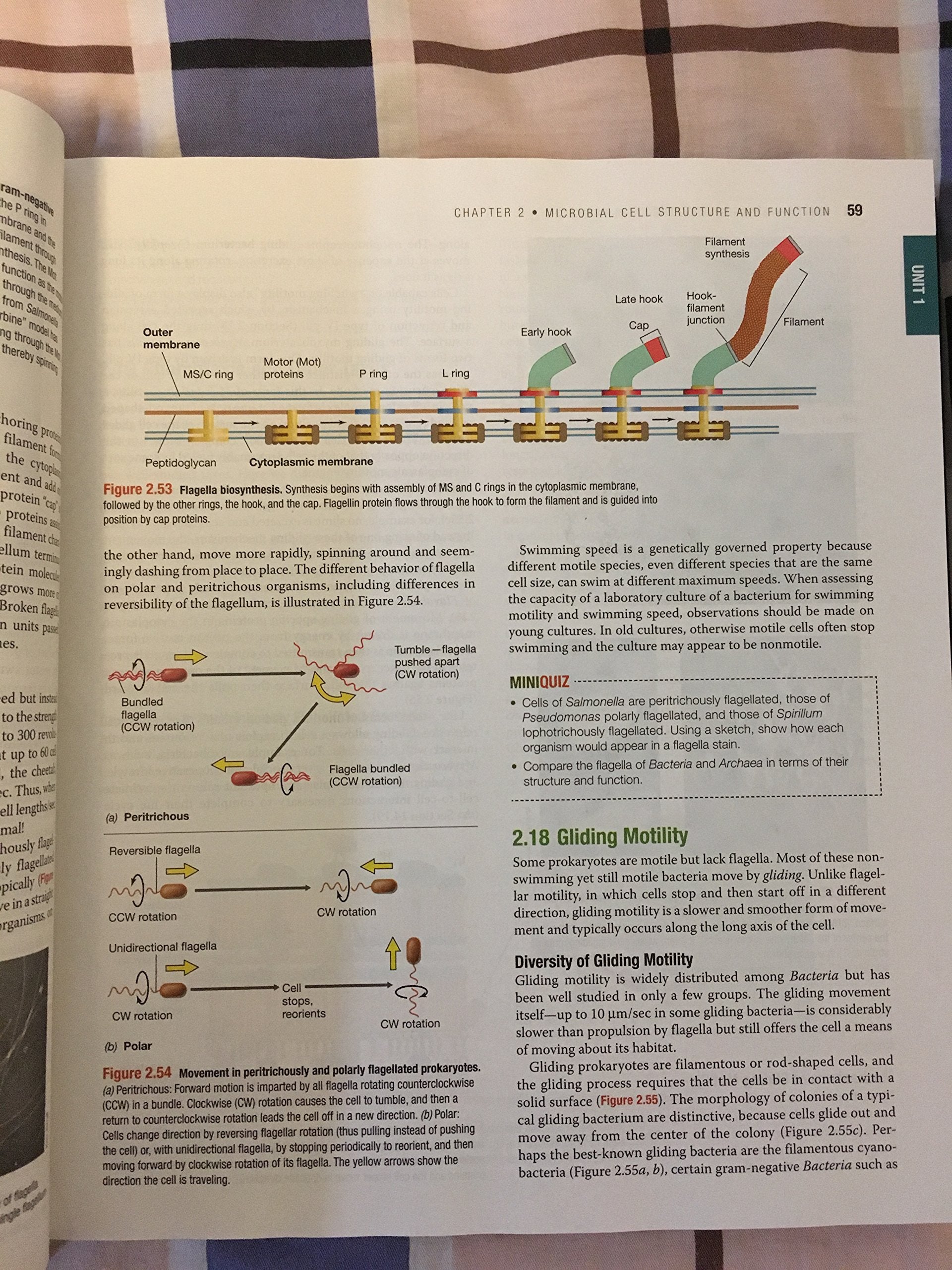Brock Biology of Microorganisms (14th Edition)