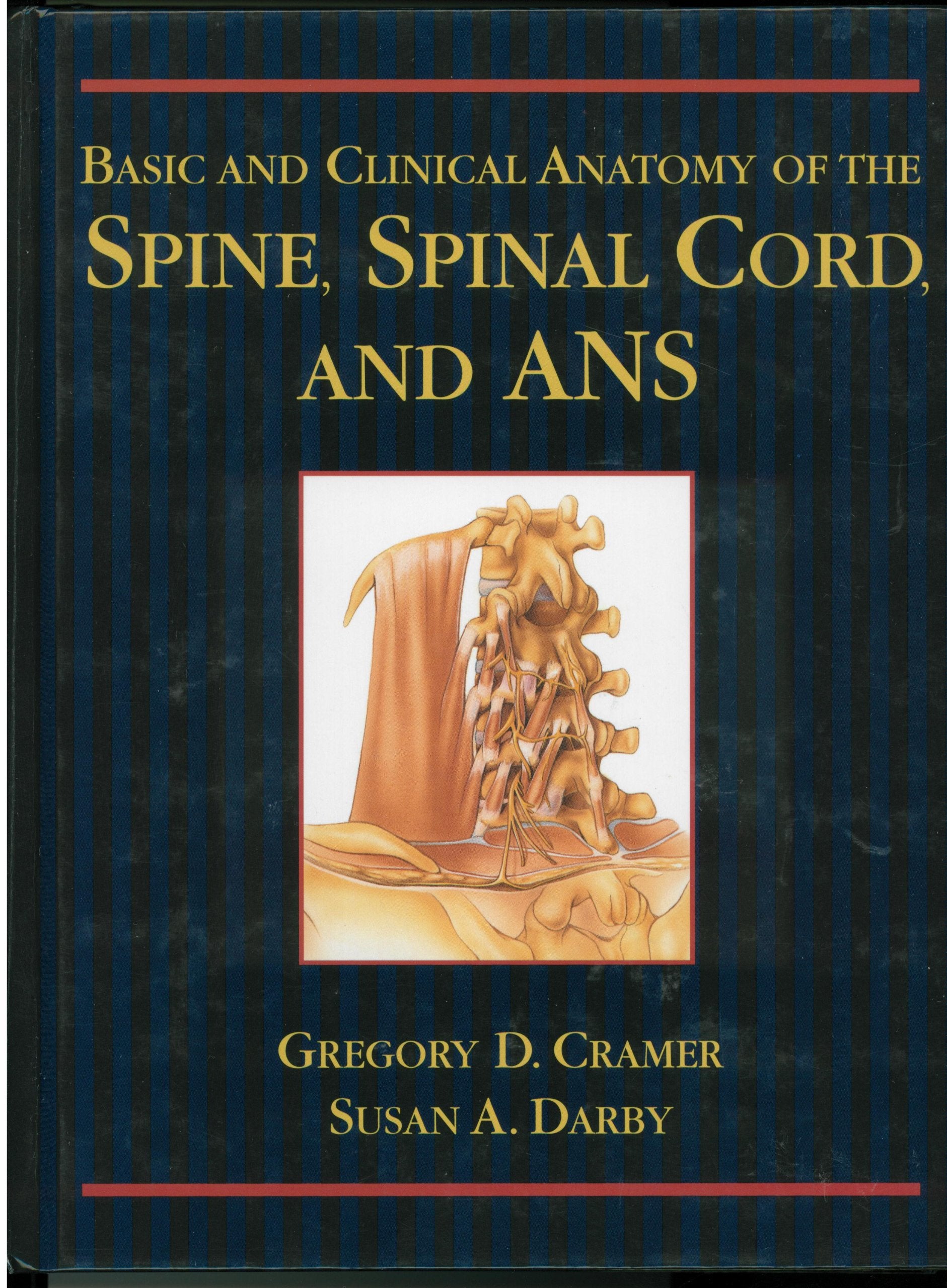 Basic and Clinical Anatomy of the Spine, Spinal Cord, and Ans