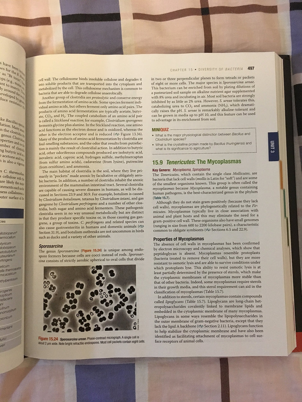 Brock Biology of Microorganisms (14th Edition)